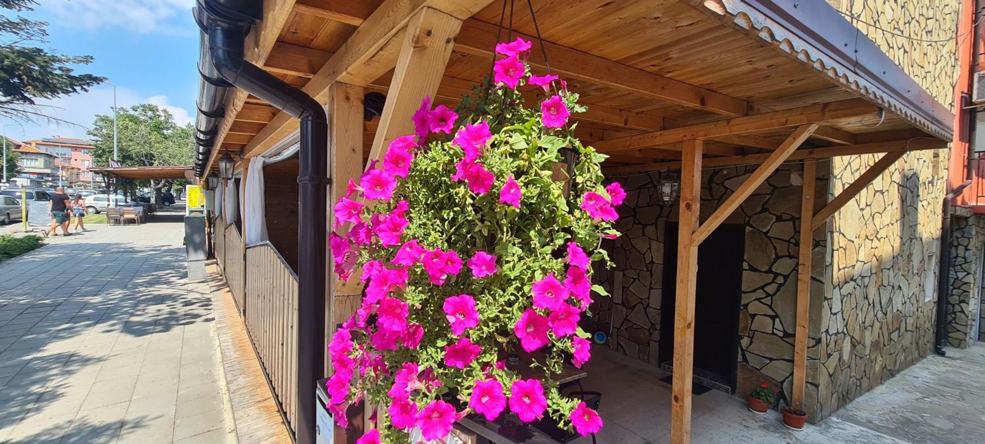 Sineva Guest House Ravda Dış mekan fotoğraf